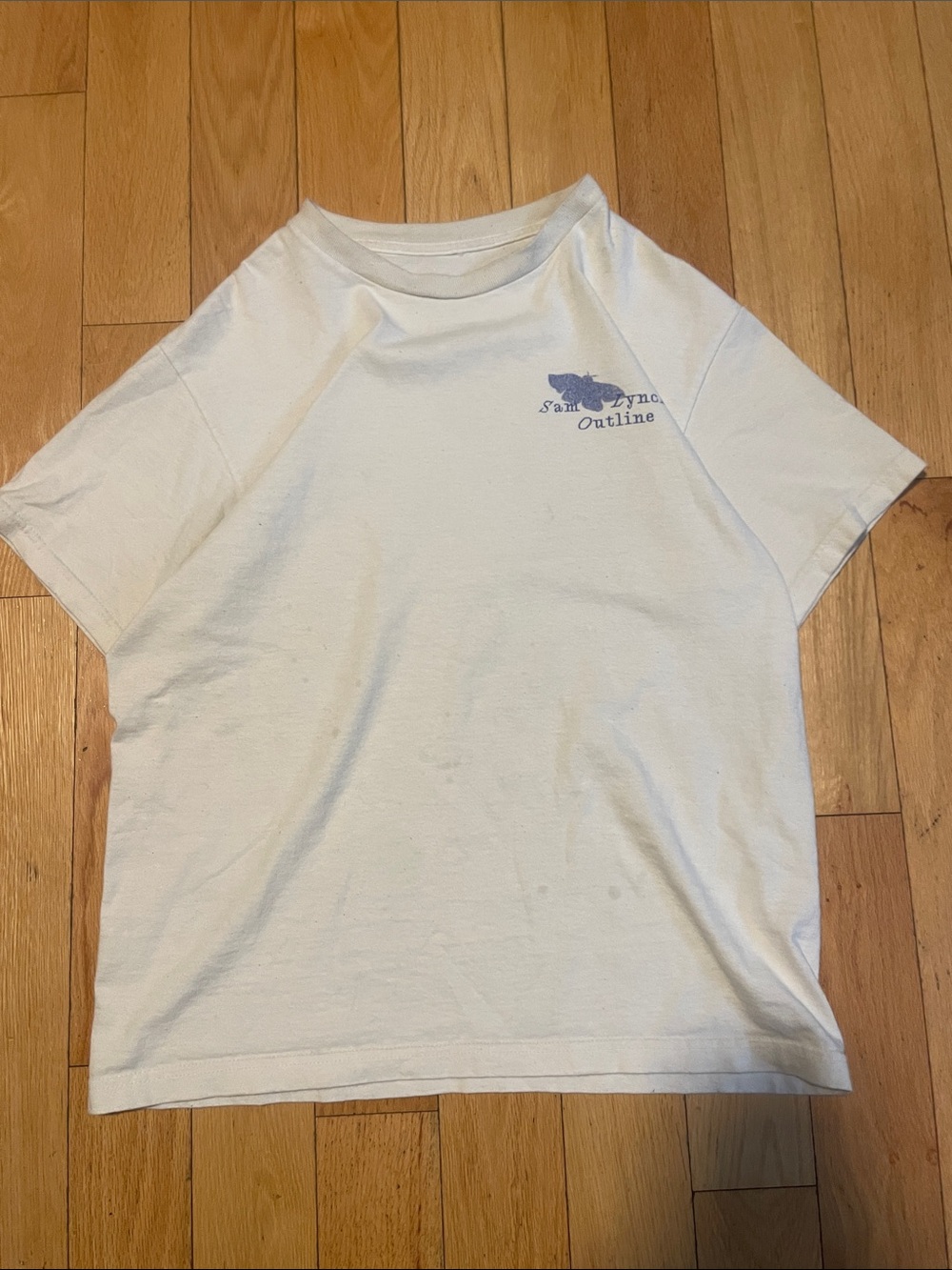 Hanes White Short Sleeve Tee with Blue Graphic